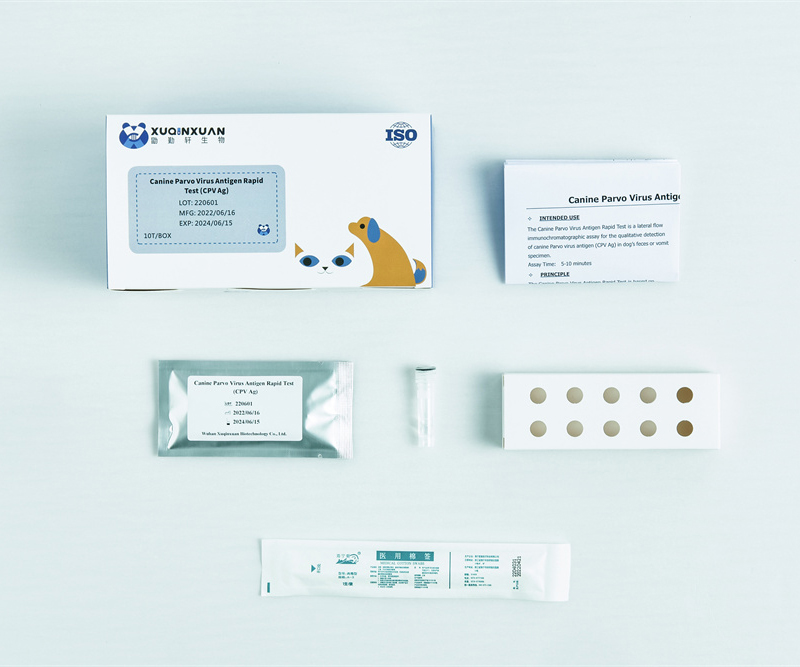 Canine Parvo Virus Antigen Rapid Test (CPV Ag) 