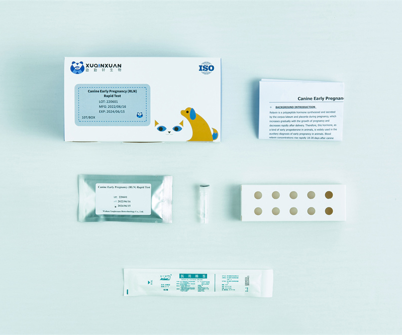 Canine Early Pregnancy (RLN) Rapid Test 